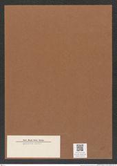 Diatomeae indet. Zeichnungen Sammlung Grunow Mappe 03721 (Herbarium_W_Grunow_drawings_Folder_03721)